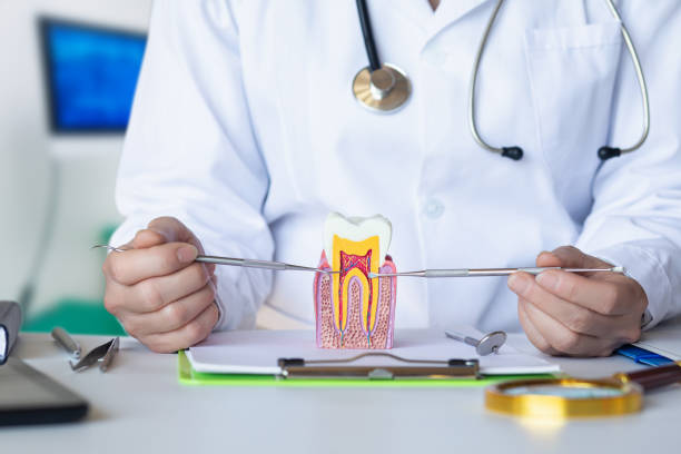 Best Same-Day Emergency Dentist in Arcadia, LA